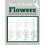 How to Draw Flowers: Step-by-Step Botanical Drawing Projects (Beginner Drawing Guides) 1