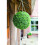 Garden Store Direct Gardman Topiary Ball Herbaceous Effect - Green 30 cm 2