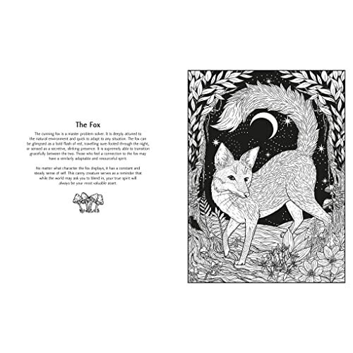 Mystic Animals: Colour your creature companions 2