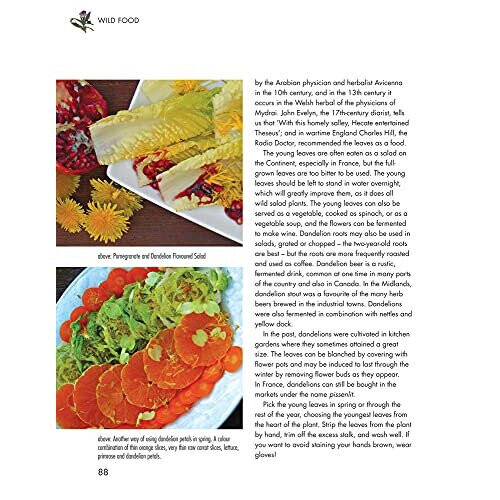 Wild Food: A Complete Guide for Foragers 2