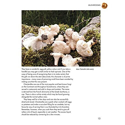 Wild Food: A Complete Guide for Foragers 1