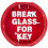 Firechief KB2 Break Glass Keybox 2