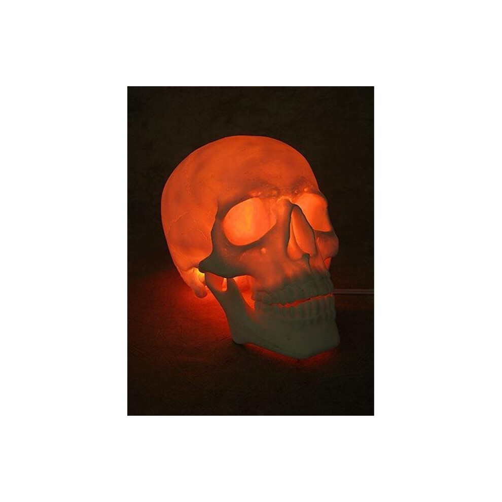 Skeletons & More DIS-115 Lighted Two Piece Skull-image-OPC-PBCYBKK-NEW