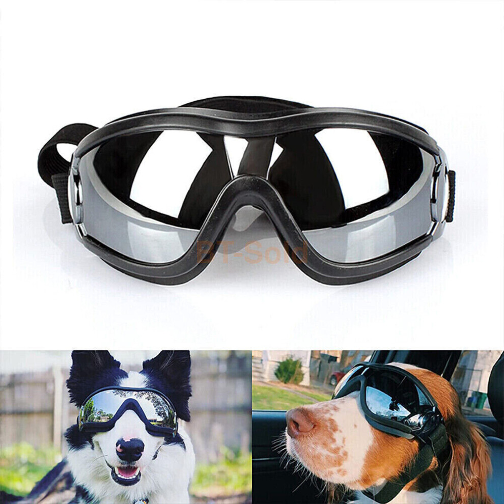 Doggles glasses best sale