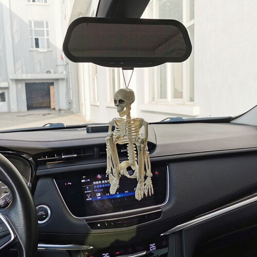 Aid Anatomy Skeleton Human Skeleton Model Car Decoration People 1
