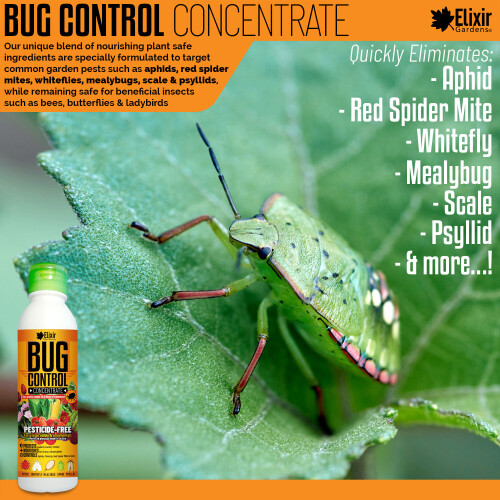 Elixir Garden Supplies (2) Bug Control Concentrate 250ml | Insecticide/Pest Killer for Plants, Vegetables & Fruit 2