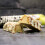 Warrior Banoffee Pie - Warrior CRUNCH - 12 Bars 4