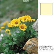 Cokin P720 Yellow CC05 Filter