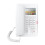 Fanvil H5-White, H5 White High-end hotel phone / SIP 2
