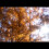 HOYA Fog N0.5 ø62mm filter 3