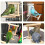 Miroir en bois pour oiseaux Jouet interactif avec perchoir Pour petits perroquets Perruches 3