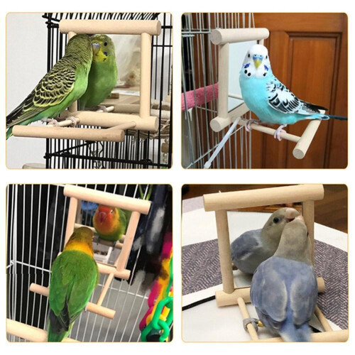 Miroir en bois pour oiseaux Jouet interactif avec perchoir Pour petits perroquets Perruches 2