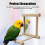 Miroir en bois pour oiseaux Jouet interactif avec perchoir Pour petits perroquets Perruches 4