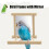 Miroir en bois pour oiseaux Jouet interactif avec perchoir Pour petits perroquets Perruches 5