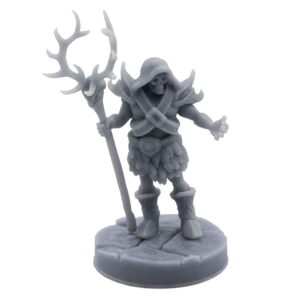 Skeletor | Scale Miniature for Dungeons and Dragons