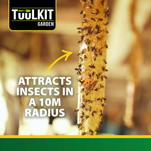 Insect Sticky Tape - TuuLKIT