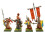 Pre-painted High Elf Officers | 25mm Royal Guard 1
