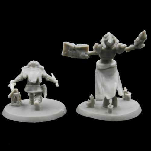 Gnome Rogue & Dark Elf Wizard Miniatures | miniature set 2