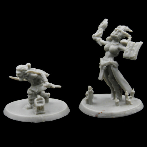 Gnome Rogue & Dark Elf Wizard Miniatures | miniature set 1