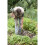 Spear & Jackson Spear & Jackson 4550DF Traditional Stainless Steel Digging Fork 2