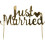 Neviti - Scripted Marble - Just Married - Cake Topper 1