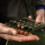 Ridgemonkey Boilie Choppa - Small, Medium, Large - Carp Fishing 3
