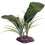 Komodo Komodo Evergreen Canopy 1