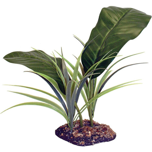 Komodo Komodo Evergreen Canopy