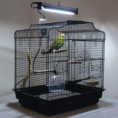 Arcadia Arcadia PureSun Bird Lamp Kit Mini 8W, 31cm (UK)