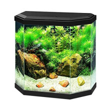 Ciano Aqua 30 Black LED Hexagonal Children's Stylish Cold Water Gold Fish Tank