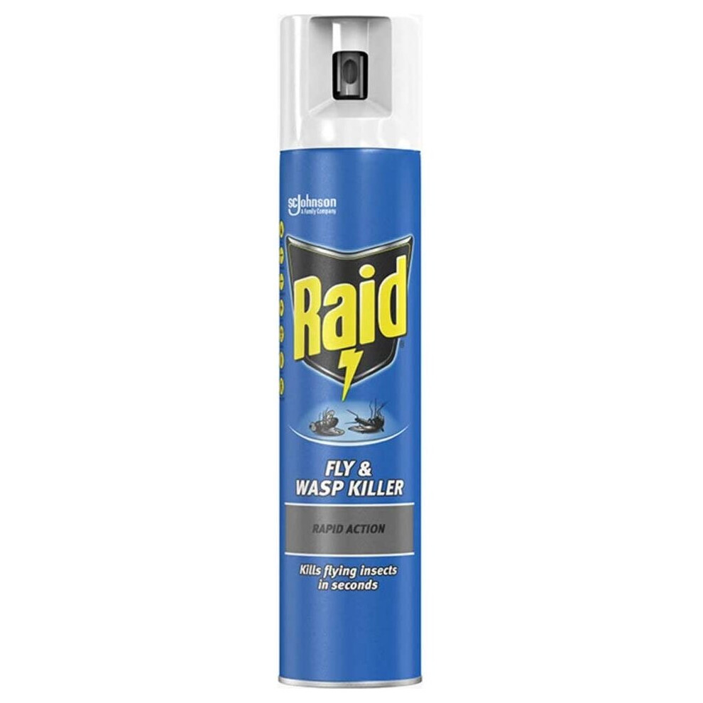Raid Fly & Wasp Killer 300Ml
