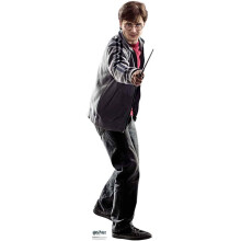 From the Official Harry Potter Books Star Cutouts Mini Cardboard Cutout of Harry Potter (Daniel Radcliffe)