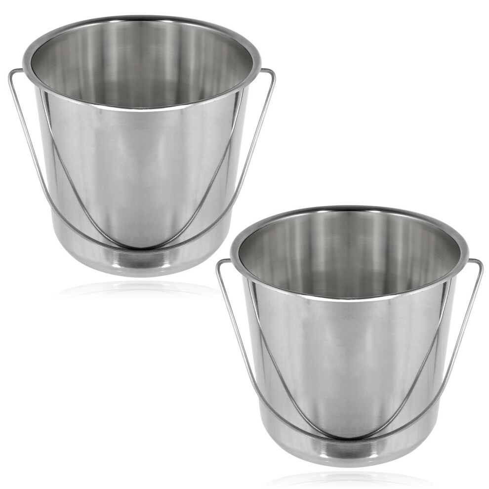 12 Litre Stainless Steel Handled Pail Bucket (Silver, Set of 2 Buckets)