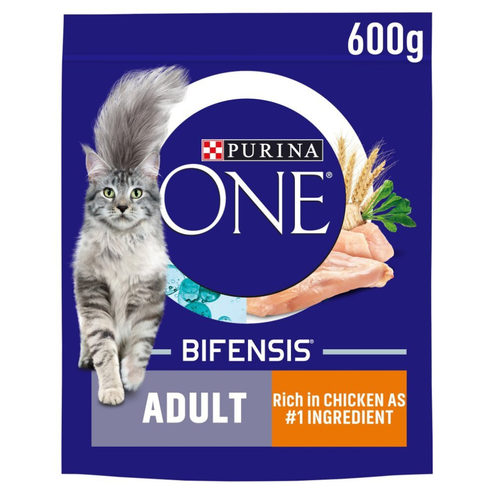 Purina ONE Adult Dry Cat Food Chicken and Wholegrains 600g (Pack of 4)