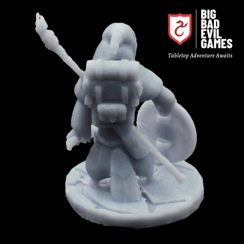 Kenku Rogue Miniature | Humanoid Bird Thief Hero with sword and shield 2