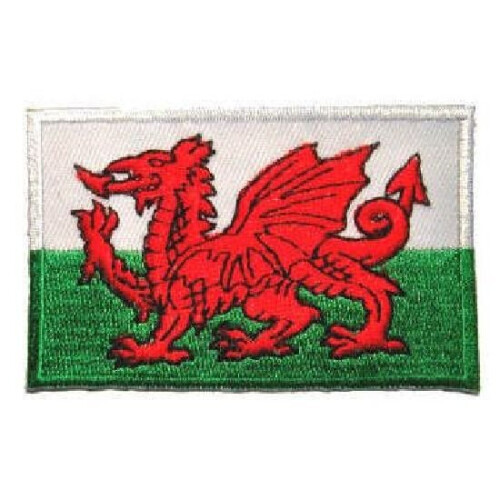 PLAYWELL WALES FLAG PATCH