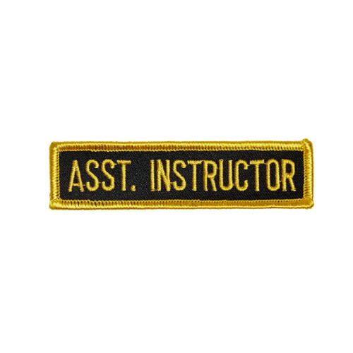 PLAYWELL ASSISTANT INSTRUCTOR PATCH 44