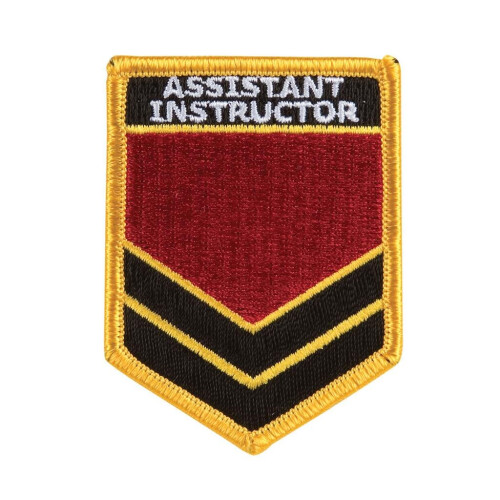 PLAYWELL ASSISTANT INSTRUCTOR SHOULDER PATCHES - P80