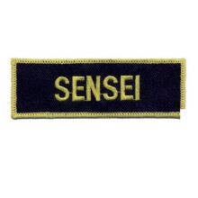 PLAYWELL SENSEI PATCH 21