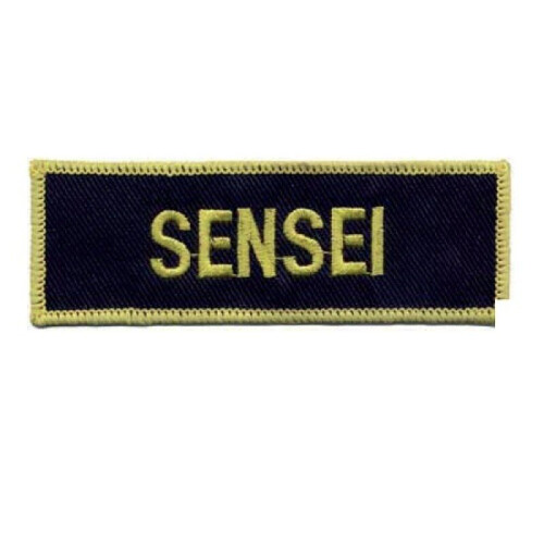 PLAYWELL SENSEI PATCH 21
