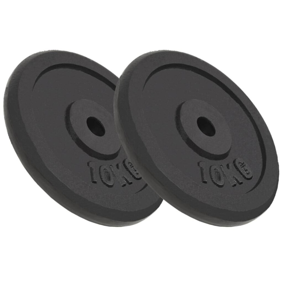 vidaXL 2x Weight Plates 2x10 kg Cast Iron Fitness Gym for Dumbbell Lifting Bars