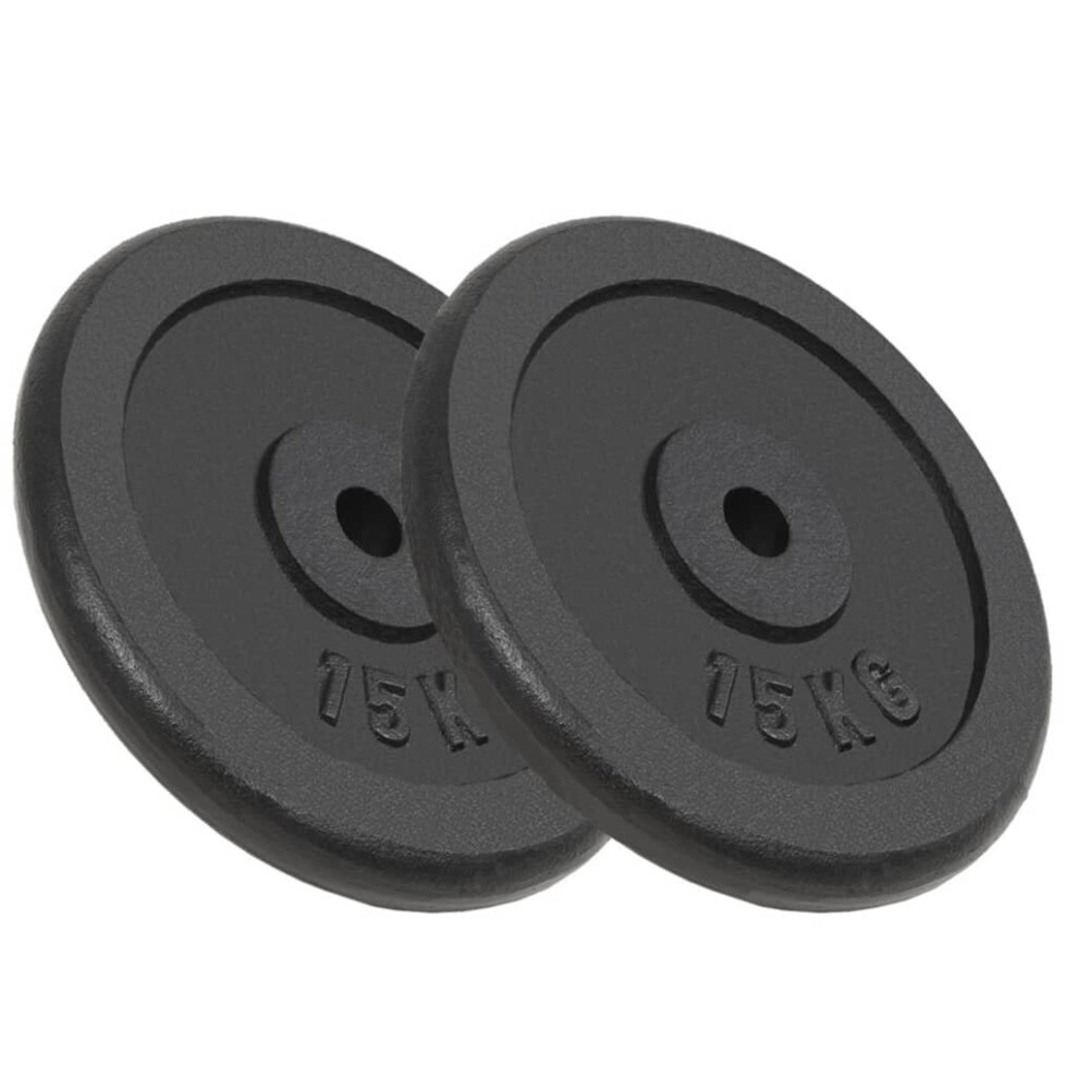 vidaXL 2x Weight Plates 2x15 kg Cast Iron Fitness Gym for Dumbbell Lifting Bars