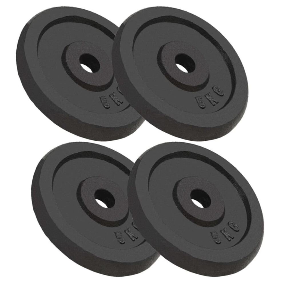 vidaXL 4x Weight Plates 4x5 kg Cast Iron Fitness Gym for Dumbbell Lifting Bars