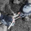 (7 (Small)) Polyco MAT-M3 Matrix Mechanics Glove Black/Grey 5