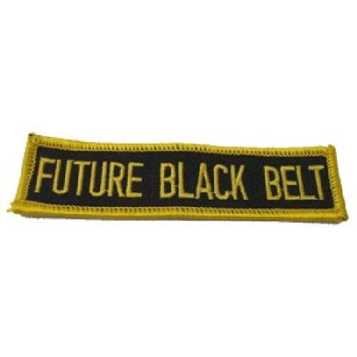 PLAYWELL MERIT PATCH: FORMS: FUTURE BLACK BELT P118