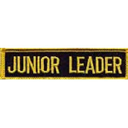 PLAYWELL MERIT PATCH: STUDENT: JUNIOR LEADER P101