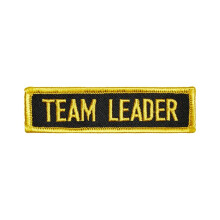 PLAYWELL MERIT PATCH: STUDENT: TEAM LEADER P102