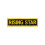 PLAYWELL MERIT PATCH: STUDENT: RISING STAR P106 1