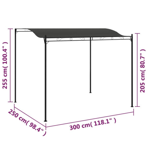 VidaXL vidaXL Pavillon 3x2,4 m Anthrazit 2