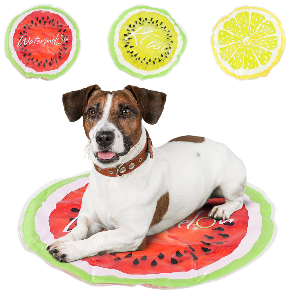 Geezy Dog Cooling Mat Self-Cooling Gel Pet Cooling Pad sleeping Bed